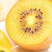 黃心獼猴桃 黃金奇異果金果獼猴桃 新鮮水果 生鮮 水果 12個(gè) 單果70-100克