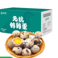 京覓新鮮無抗鵪鶉蛋 生鮮蛋 健康好蛋 63枚/盒 源頭直發(fā)